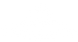 Tigerlillies Wholesale